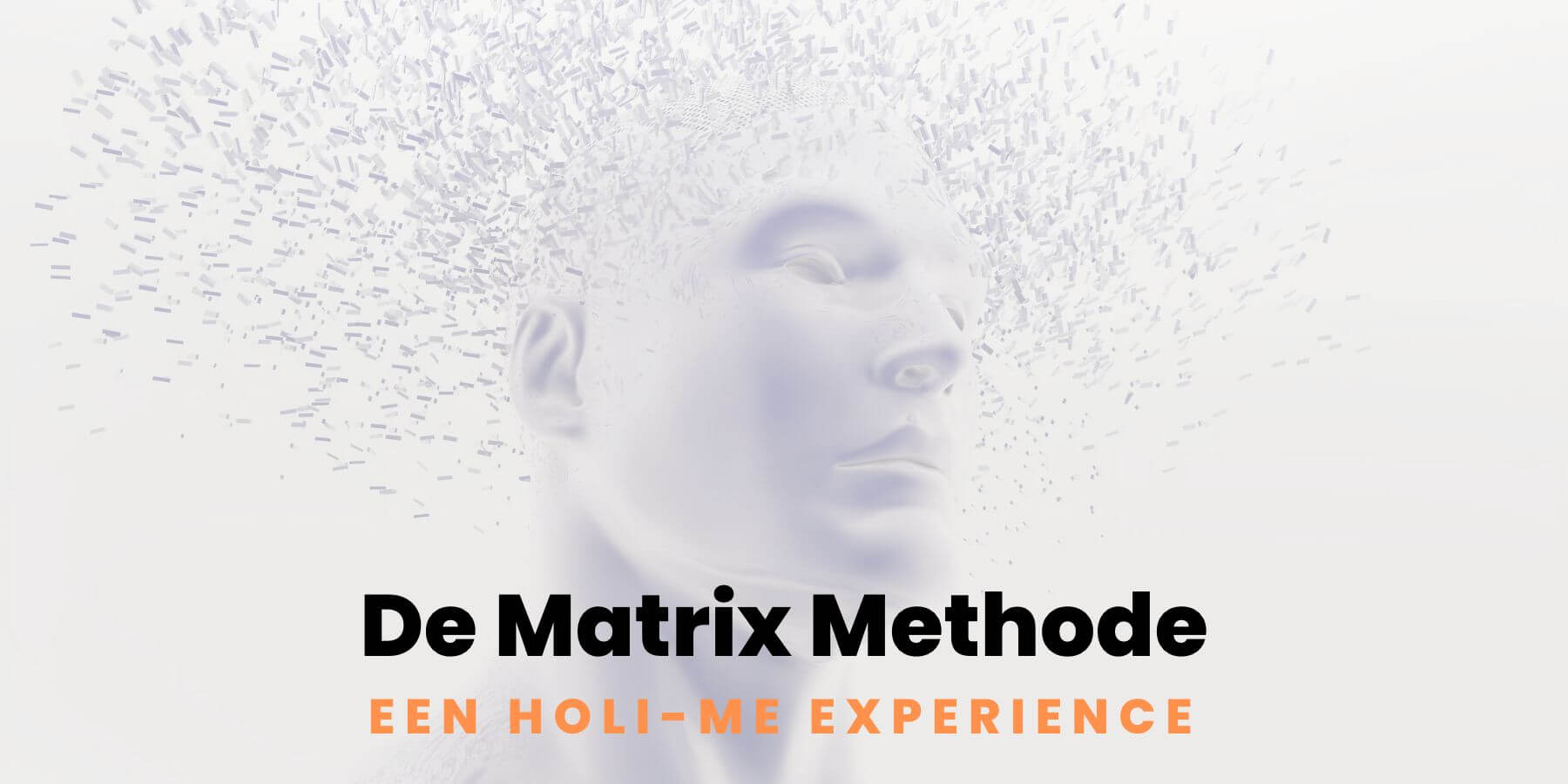 Holi-Me Roadtrip, De Matrix Methode, Holi-Me Experience